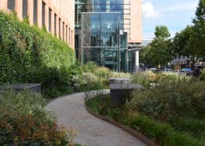 BREEAM 7 Biodiversity Net Gain